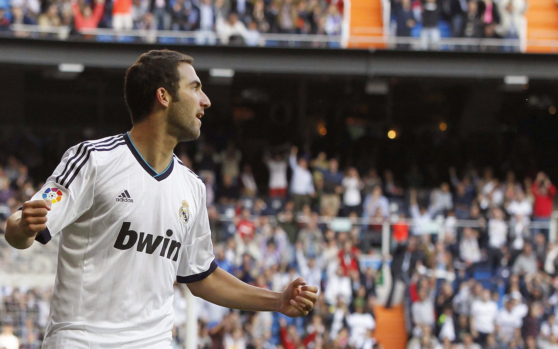 本田车队在日本大奖赛中表现出色，honda车队